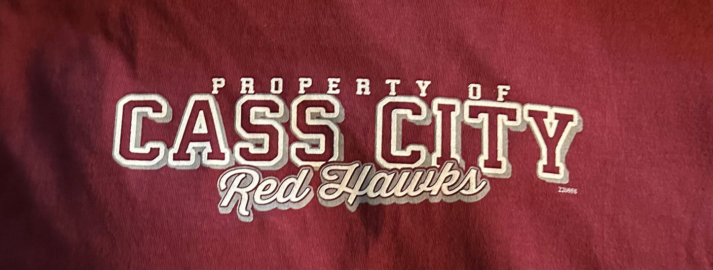 Close up of the logo on the front of a Maroon tshirt.